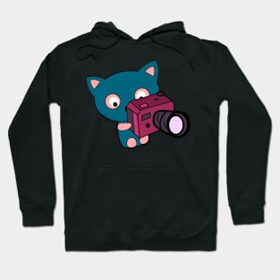 Cute kitty photographer Hoodie